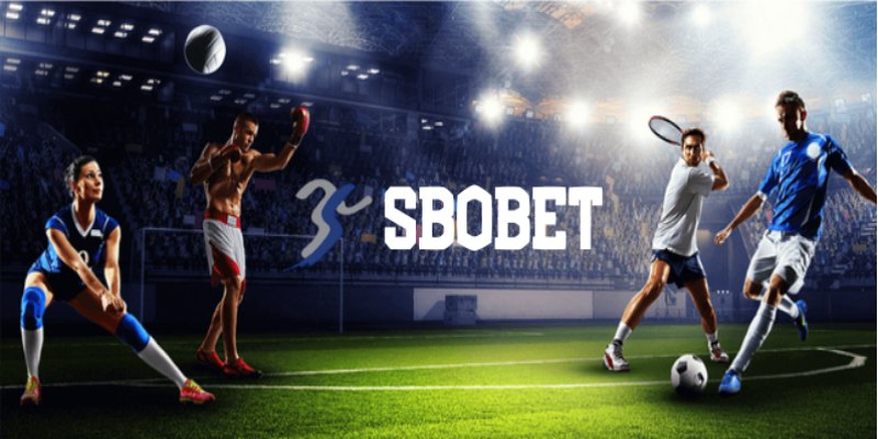 Tham gia bộ môn bóng rổ cùng tỷ lệ trả thưởng hấp dẫn